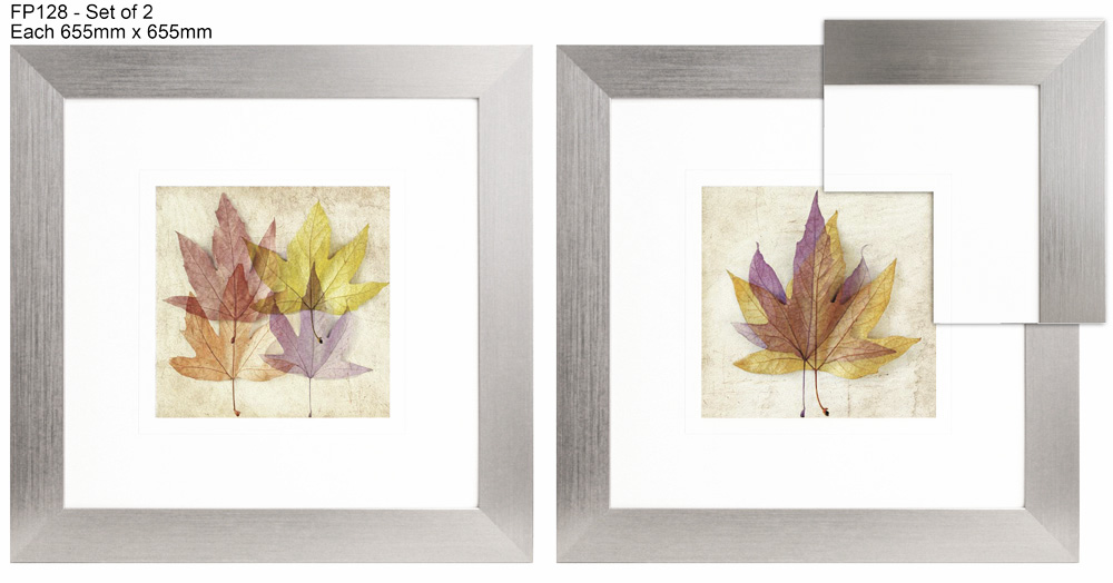 FP128 Wall décor art framed print set of 2 botanical silver frame